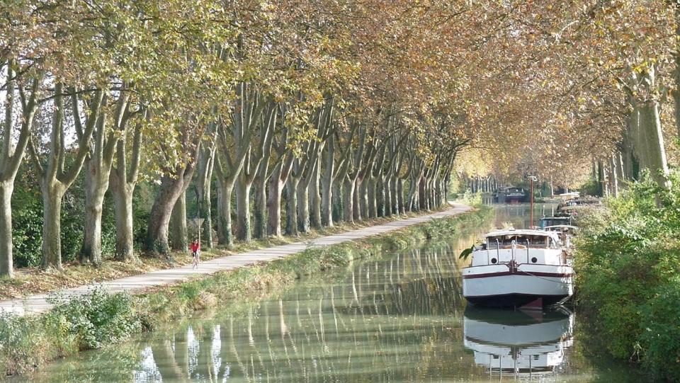 Les Gardenias Bed & Breakfast Toulouse Luaran gambar